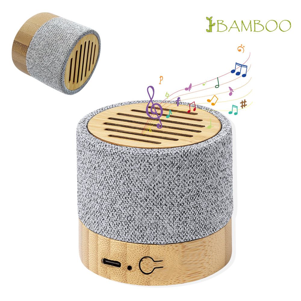 Bamboo Speaker