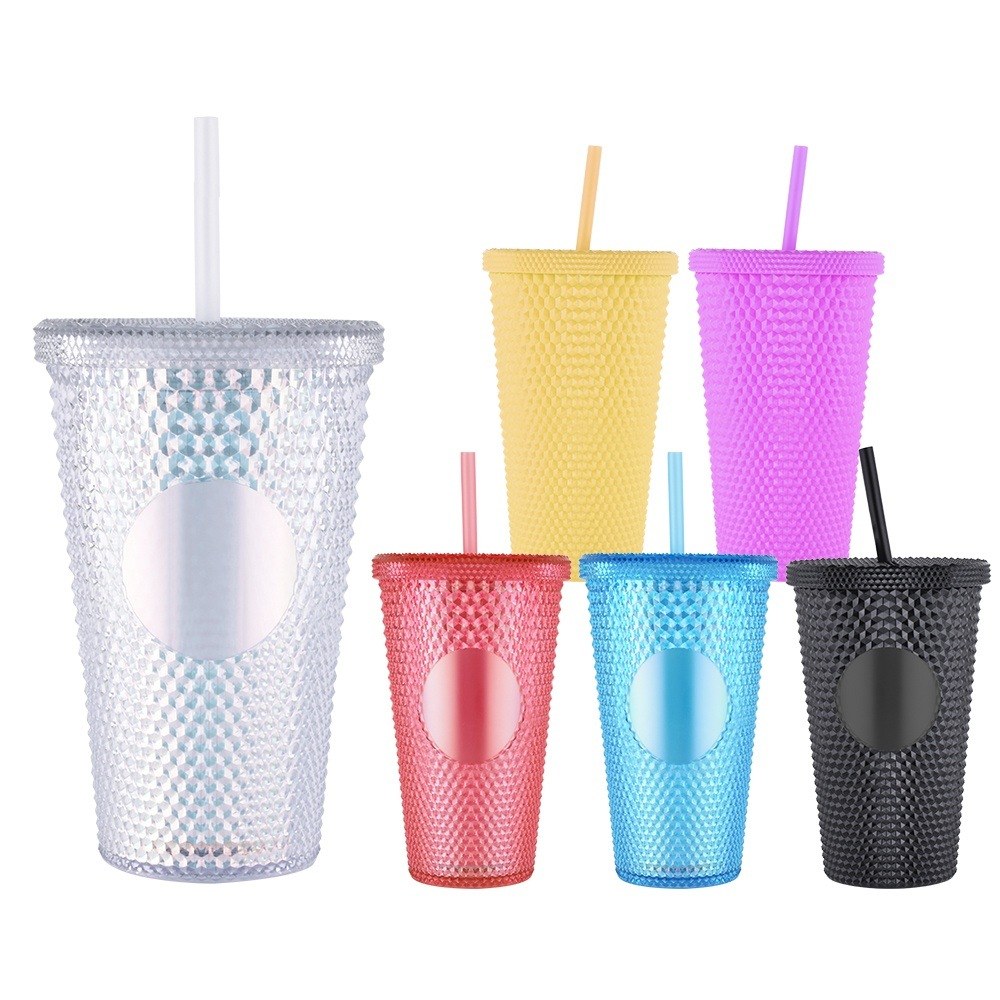 480ML Double Wall Acrylic Tumbler With Straw
